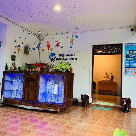 Blue Whale Holiday Hotel Mirissa Extérieur photo