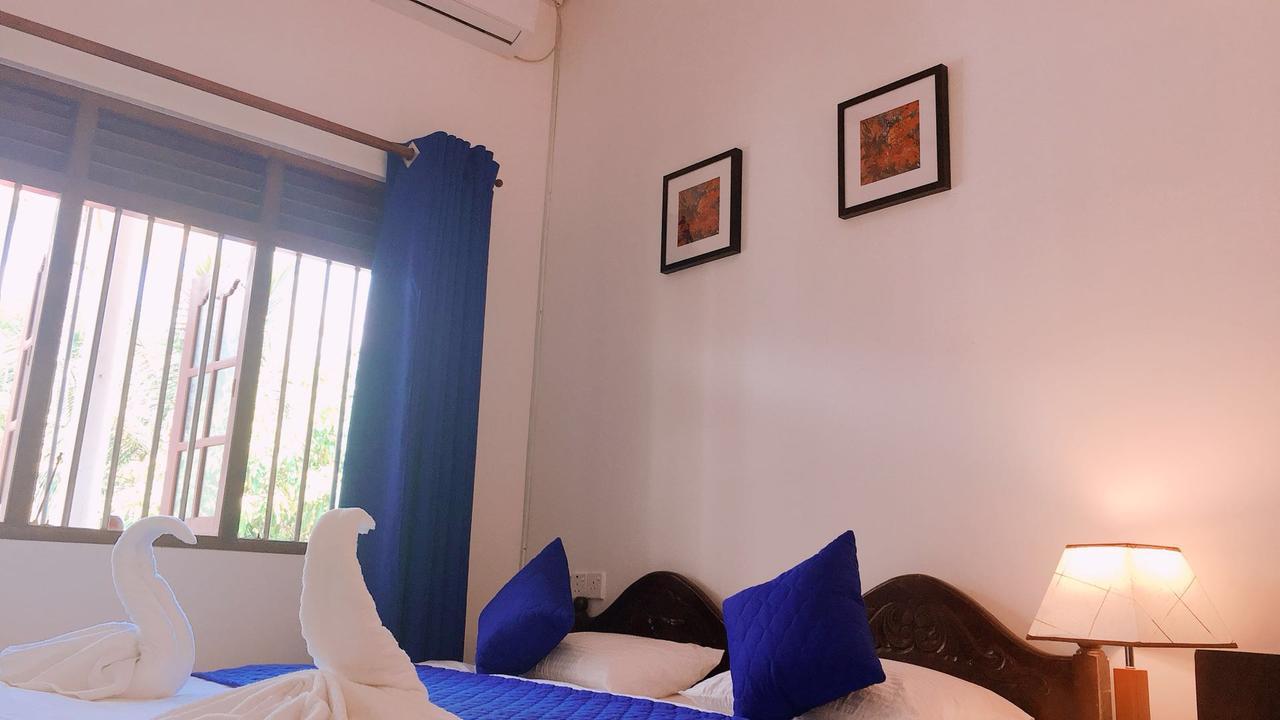 Blue Whale Holiday Hotel Mirissa Extérieur photo