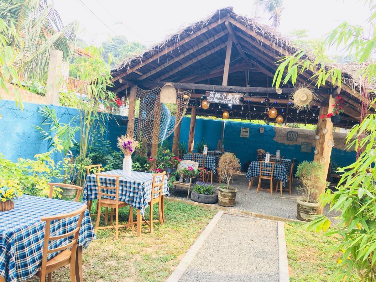Blue Whale Holiday Hotel Mirissa Extérieur photo