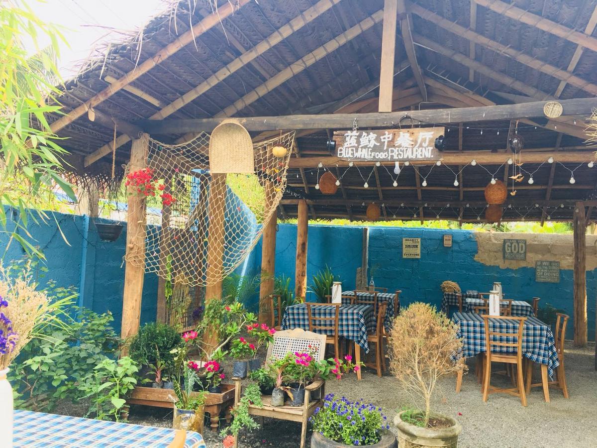 Blue Whale Holiday Hotel Mirissa Extérieur photo