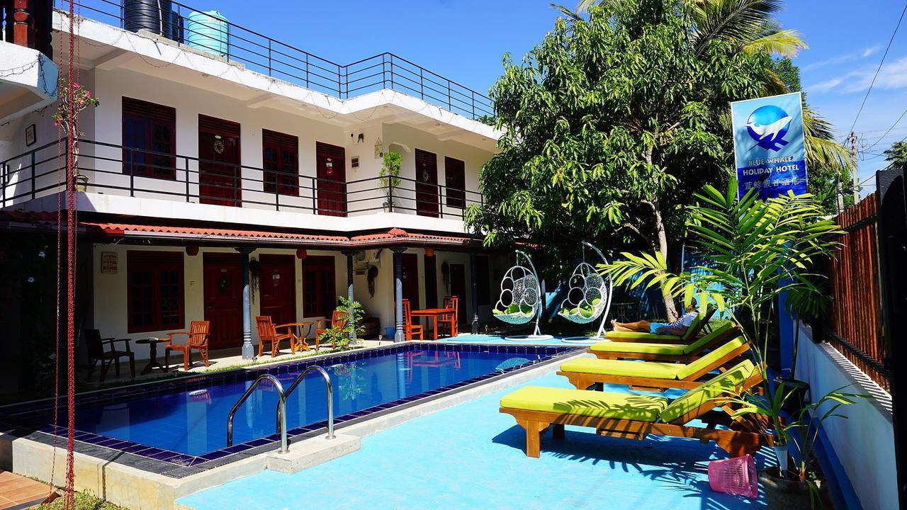 Blue Whale Holiday Hotel Mirissa Extérieur photo
