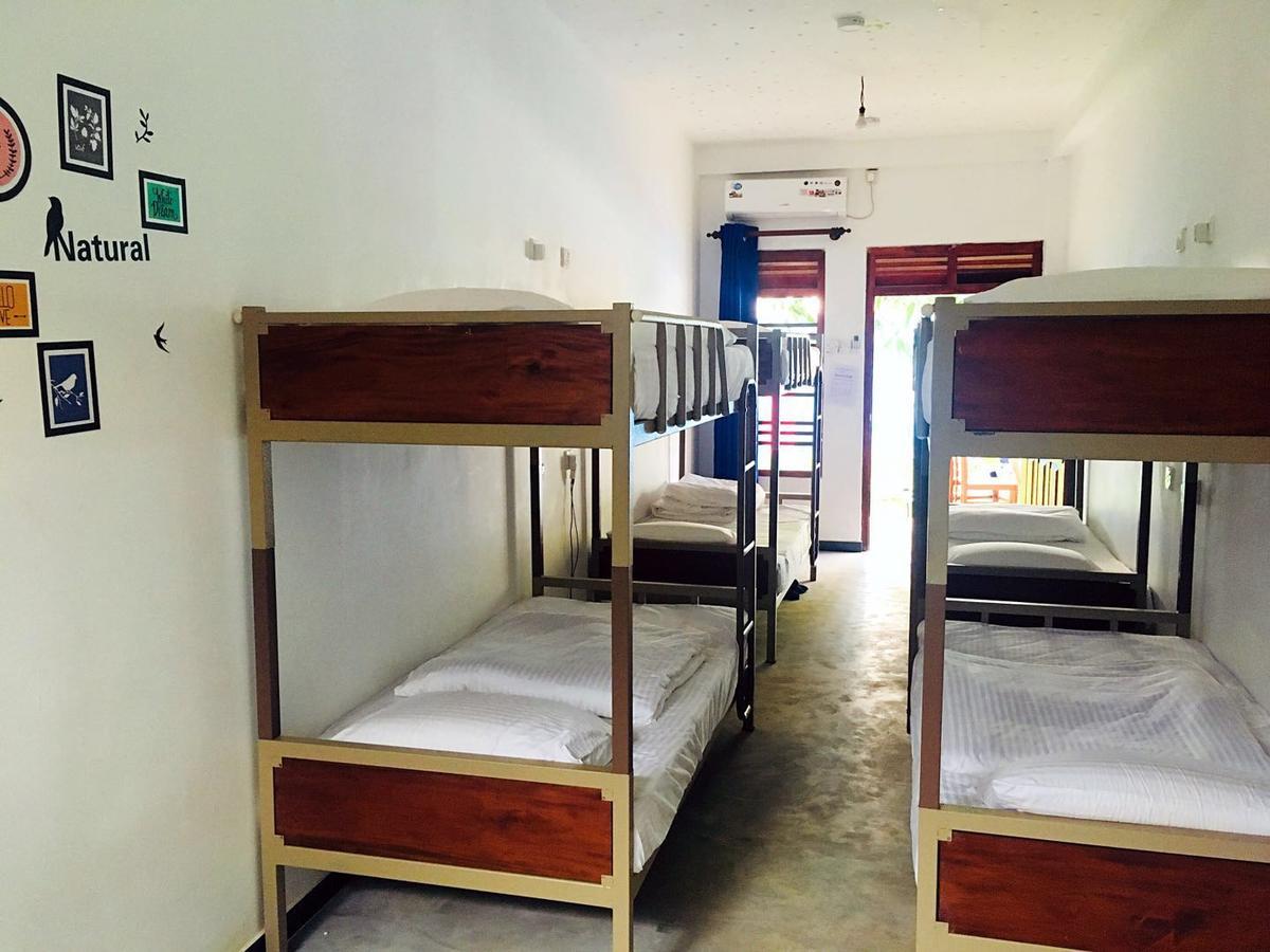 Blue Whale Holiday Hotel Mirissa Extérieur photo