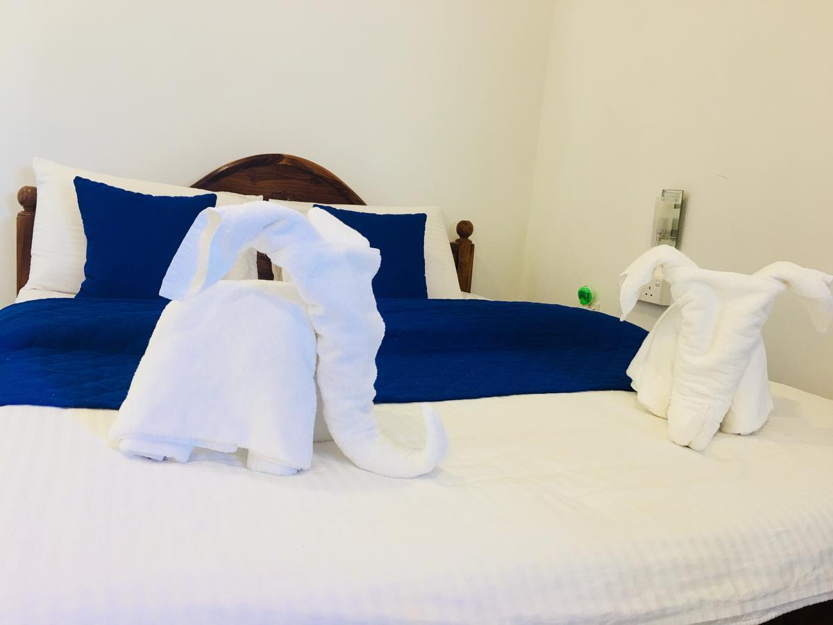 Blue Whale Holiday Hotel Mirissa Extérieur photo