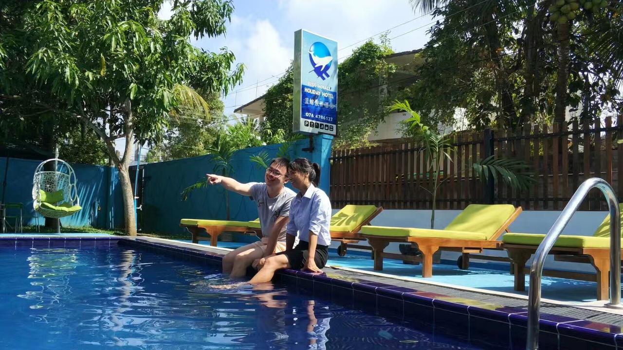 Blue Whale Holiday Hotel Mirissa Extérieur photo