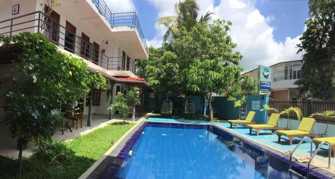 Blue Whale Holiday Hotel Mirissa Extérieur photo