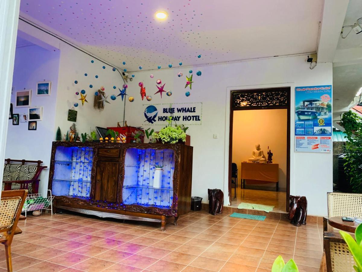 Blue Whale Holiday Hotel Mirissa Extérieur photo