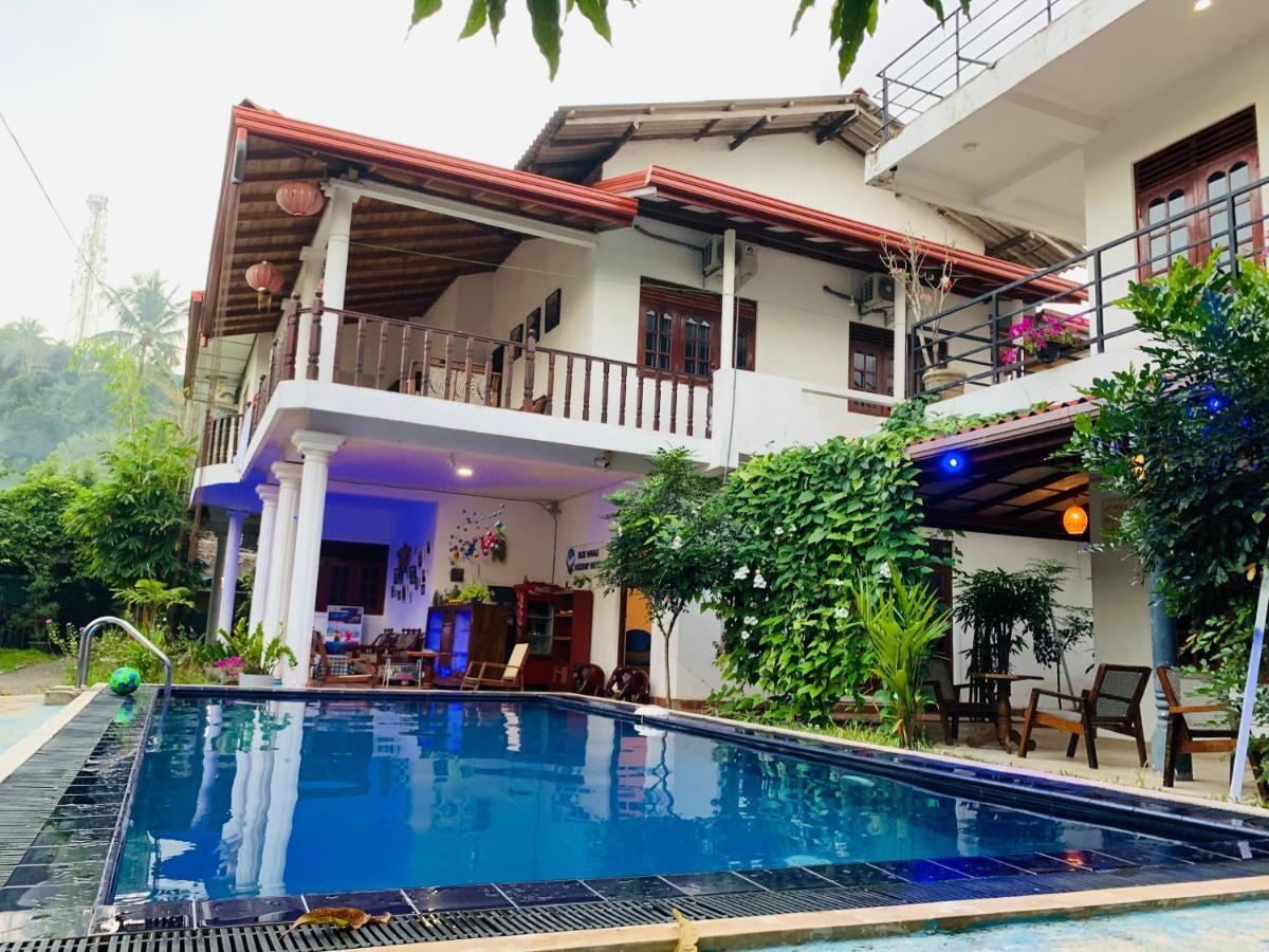 Blue Whale Holiday Hotel Mirissa Extérieur photo